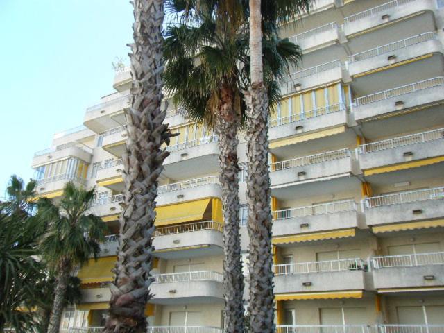 Apartamentos Marblau Varios 1, 2 Y 3 Dormitorios - Julio Y Agosto Solo Familias Playa de Gandia Esterno foto